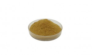 Andrographis paniculata extract CAS 5508-58-7