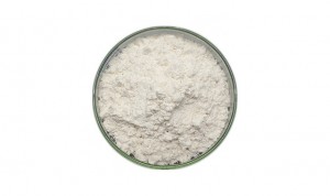 Pharmaceutical powder polygonum cuspidatum extr...