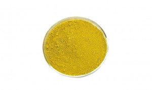 Chinese Professional Berberine Sulphate -
 Wholesale extract powder berberine sulfate – Drotrong