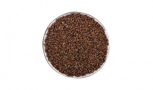 Dried cassia seed  jue ming zi  tcm semen cassiae Chinese herbs