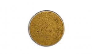 CAS 327-97-9 honeysuckle extract chlorogenic acid 98%