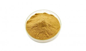 China Cheap price Chinese Herb Ho Shou Wu Powder From Fo-Ti Extract