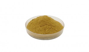 Ginkgo biloba leaf extract powder CAS 90045-36-6