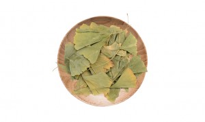 Traditional Chinese medicine ginkgo leaf yin xing ye ginkgo biloba leaf