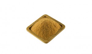 Professional Factory for China Green Tea Extract, 10%-98% Tea Polyphenols/Tea Polyphenol