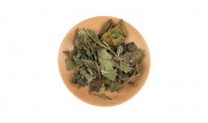Factory Promotional Qian Shi - Medical herbs dried Folium Mori sang ye mulberry leaf – Drotrong