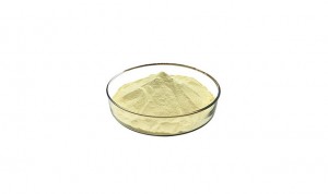 Factory for China Natural 1%~99% HPLC Naringin Powder with CAS 10236-47-2