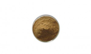 Olive leaf extract hydroxytyrosol CAS 10597-60-1