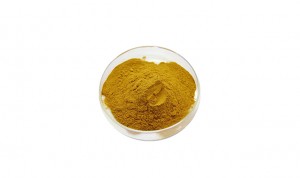 Wolfberry extract Boxthorn extract