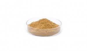 High Quality China Supplier Kudzu Root Extract Powder Puerarin