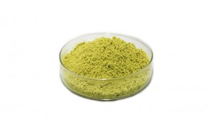 Quercetin extract powder CAS 117-39-5