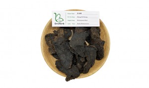 Wholesale price Sheng Di Huang dried Rehmannia Root herbal medicine