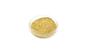 Fixed Competitive Price China Factory Supply Milk Thistle Extract Powder 80% Silymarin