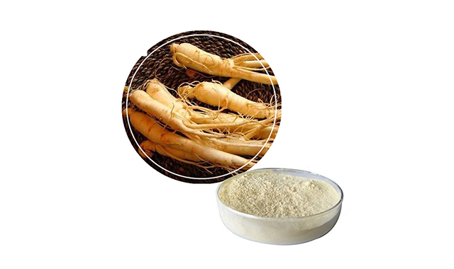 5.Panax ginseng root extract