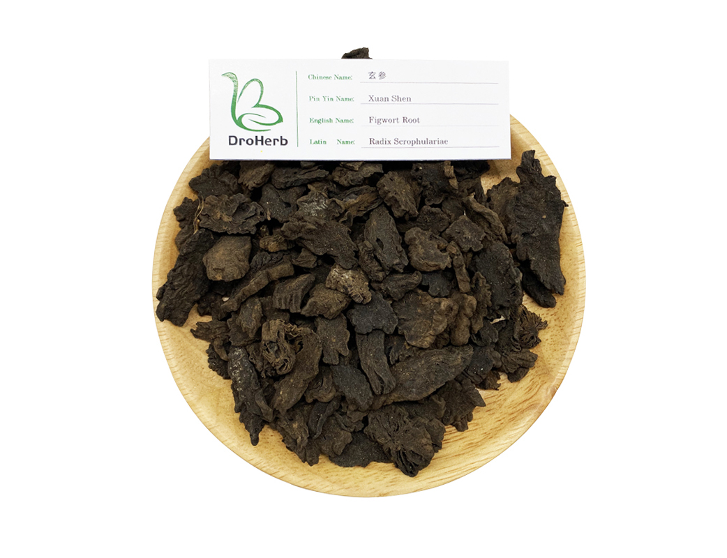 Dried herbal medicine Radix Scrophulariae figwort root xuen shen for sale