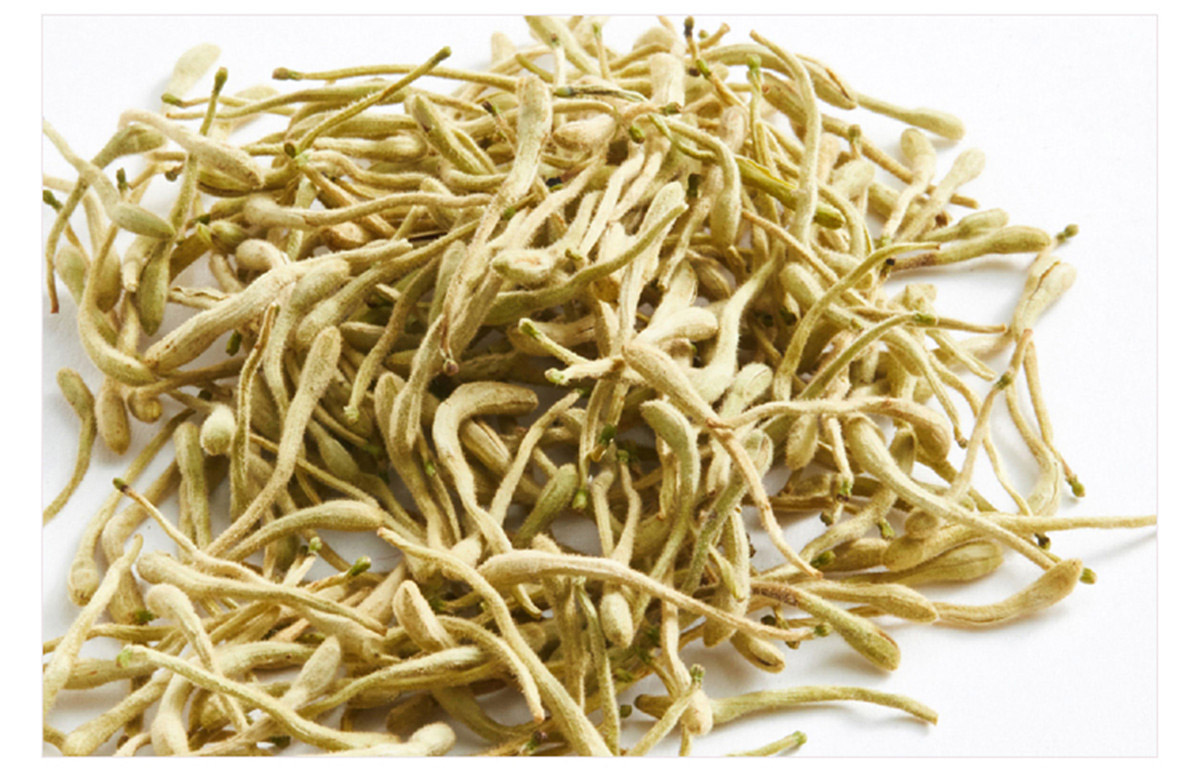 Drotrong-supply-dried-honeysuckle-flower-tea-wholesale-price_01