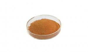 China Rhodiola Rosea Extract with Competitive Price Free Sample