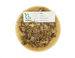 Super Lowest Price Yu Xing Cao Traditional Chinese Herbal Medicine Dried Houttuyniae Herba