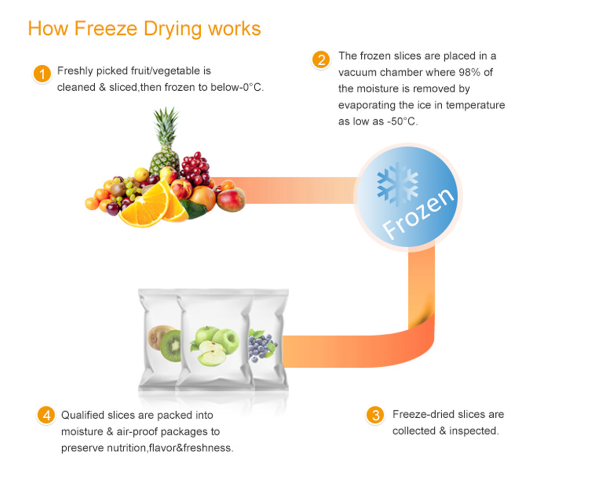 how freeze drying works