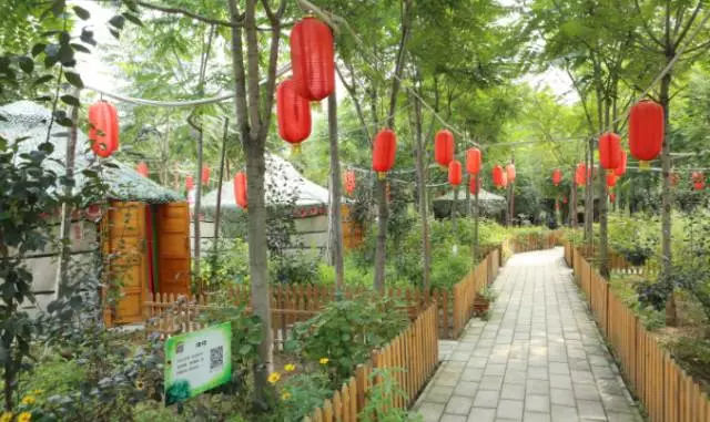 New coming：Leisure agricultural park with Chinese herbal medicine