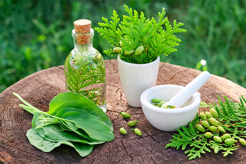 Do herbal remedies for menopause really work?